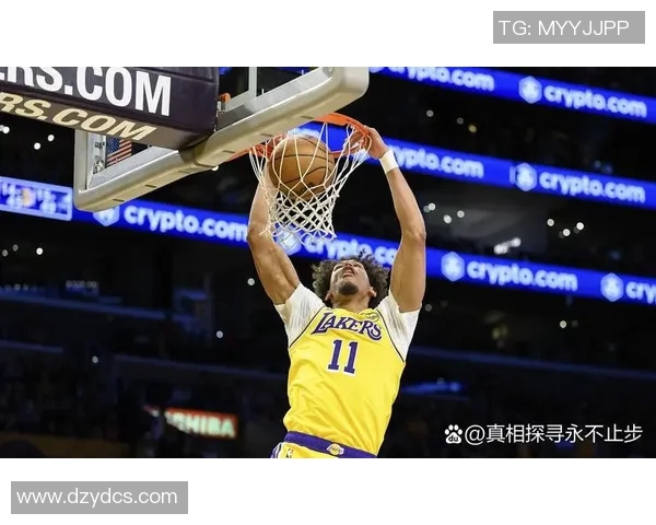 湖人对阵鹈鹕精彩回顾与分析全场比赛亮点尽在其中