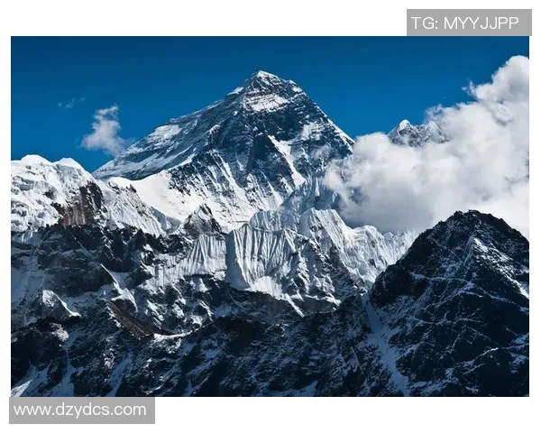 极限运动战术探秘：武汉极限运动队的创新阵地战体系解析MBA