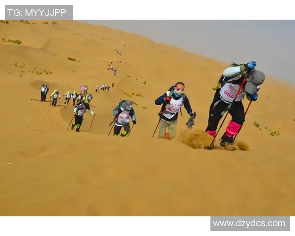 上海飞盘队逆袭之路：重塑战术与团队精神的全新探索