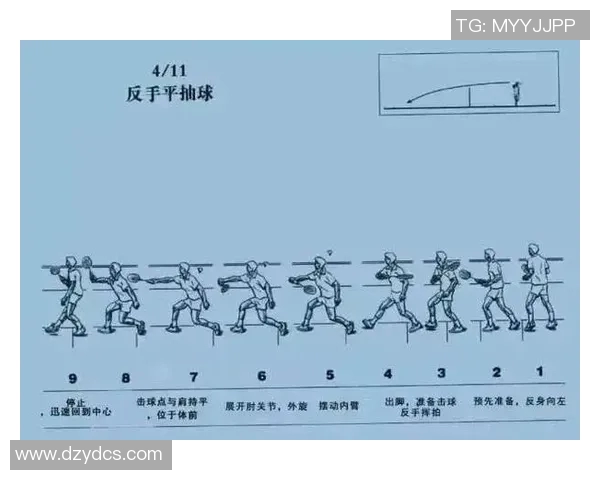 羽毛球战术解析：深入探讨上海羽毛球队的战术控制与执行体系