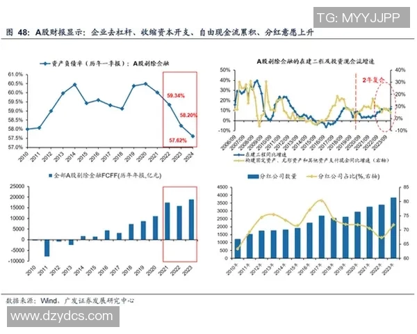 上海滑板队的运营模式与发展策略深度解析